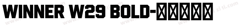 Winner W29 Bold字体转换